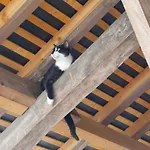 Πανσιόν D'hotes De L'ile Du Saule