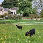 D'hotes De L'ile Du Saule 3*