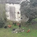 D'hotes De L'ile Du Saule 3* Saumur