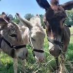 D'hotes De L'ile Du Saule Πανσιόν