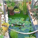 D'hotes De L'ile Du Saule Saumur