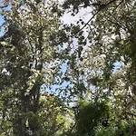 D'hotes De L'ile Du Saule Saumur