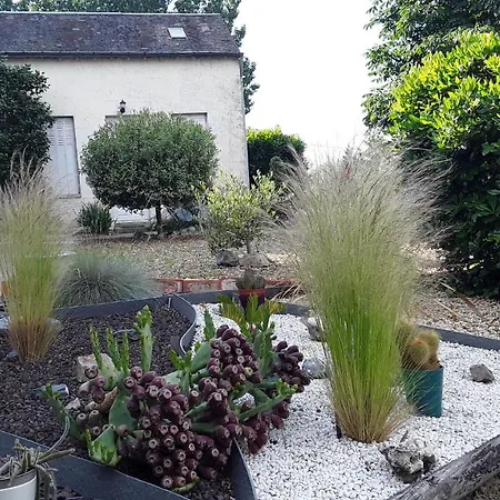 Gasthof D'hotes De L'ile Du Saule *