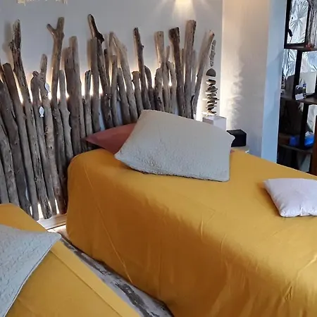 Pensjonat D'hotes De L'ile Du Saule 3*