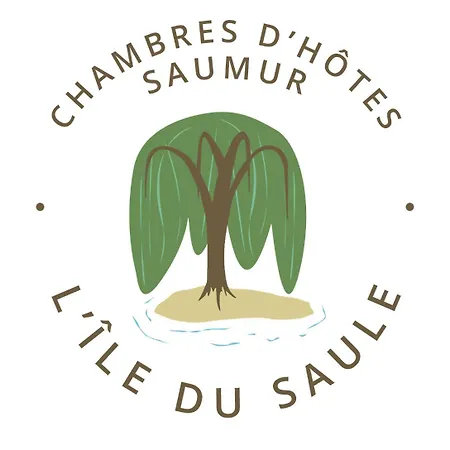 D'hotes De L'ile Du Saule 3* 索米尔