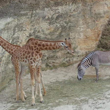 D'hotes De L'ile Du Saule Gasthof 3*