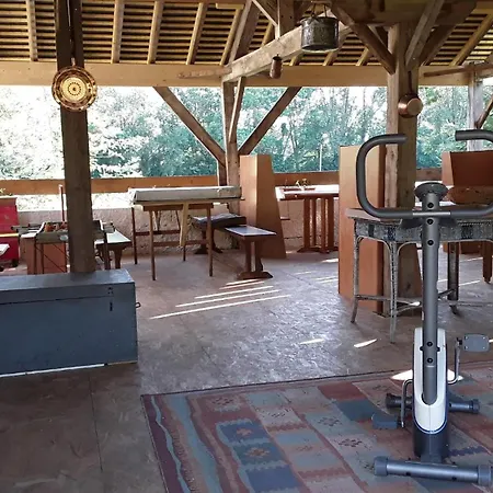 Gasthof D'hotes De L'ile Du Saule 3*