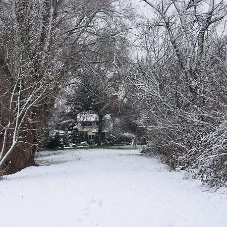 D'hotes De L'ile Du Saule Gasthof