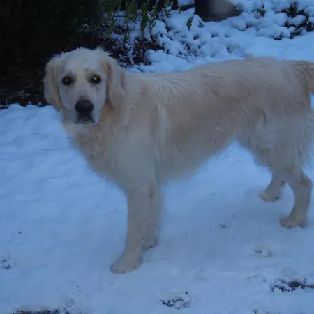 D'hotes De L'ile Du Saule Gasthuis