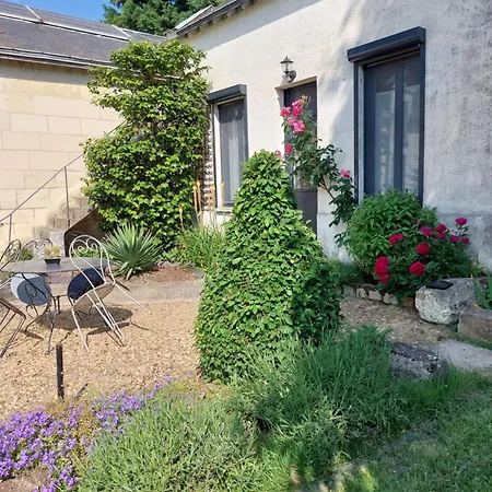 Gasthof D'hotes De L'ile Du Saule