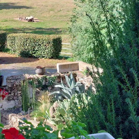 D'hôtes De L'ile Du Saule