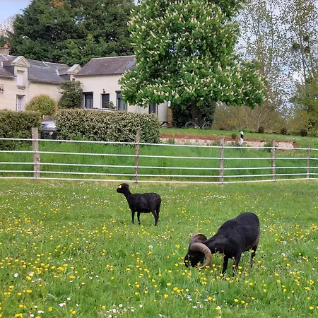 D'hotes De L'ile Du Saule 3*