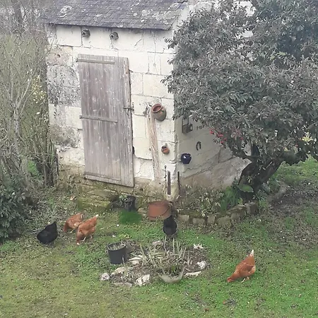 D'hôtes De L'ile Du Saule 3* Saumur
