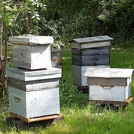 D'hotes De L'ile Du Saule Gasthof