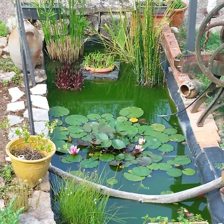 D'hotes De L'ile Du Saule 索米尔