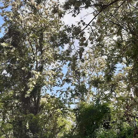 D'hotes De L'ile Du Saule 索米尔
