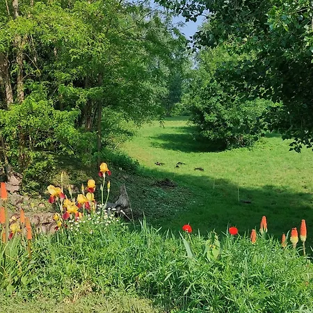 Gasthof D'hotes De L'ile Du Saule