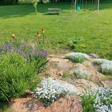 招待所 D'hotes De L'ile Du Saule 3*
