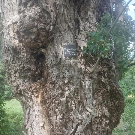 D'hôtes De L'ile Du Saule Casa de hóspedes