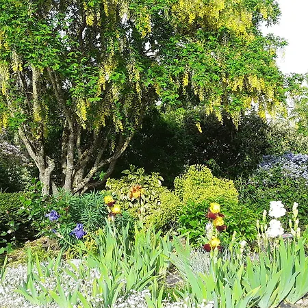 D'hôtes De L'ile Du Saule 3*