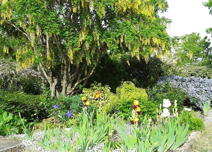 D'hotes De L'ile Du Saule בית הארחה סומור