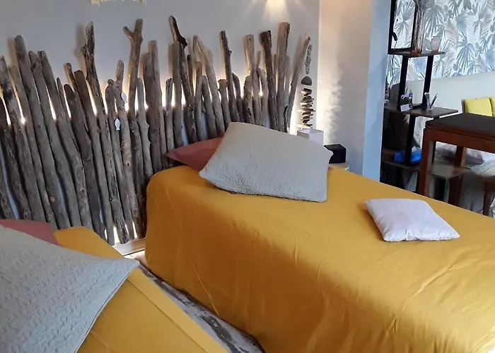 Pensionat D'hotes De L'ile Du Saule 3*