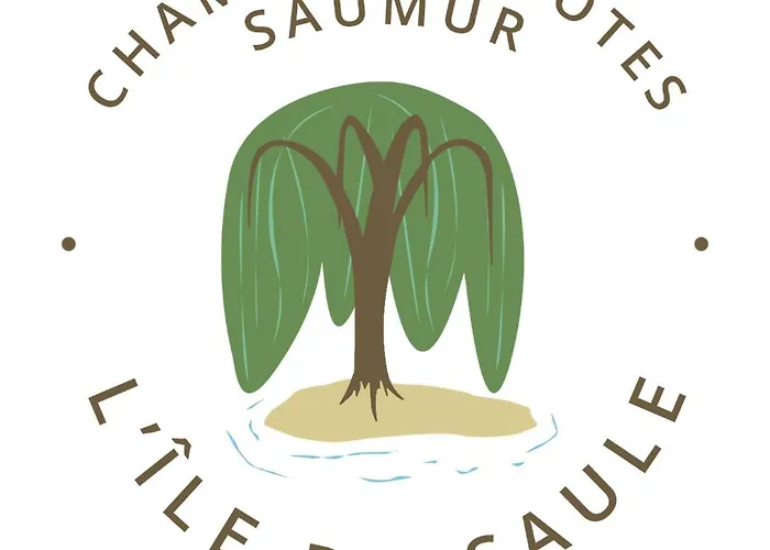 D'hotes De L'ile Du Saule 3* Saumur