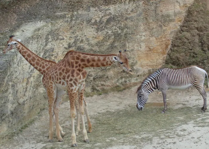 D'hotes De L'ile Du Saule Guest house 3*