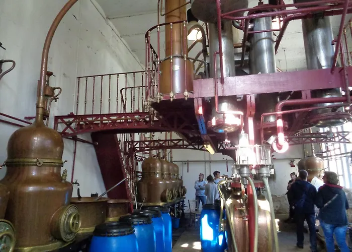 D'hotes De L'ile Du Saule 3*