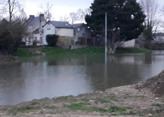 Pensionat D'hotes De L'ile Du Saule