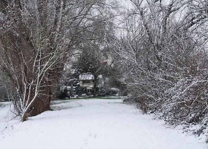 D'hotes De L'ile Du Saule Guest house
