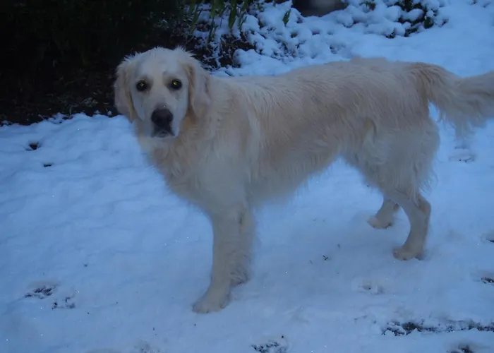 D'hotes De L'ile Du Saule Guest house