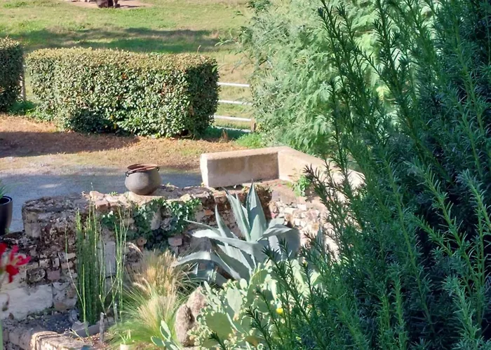 D'hotes De L'ile Du Saule