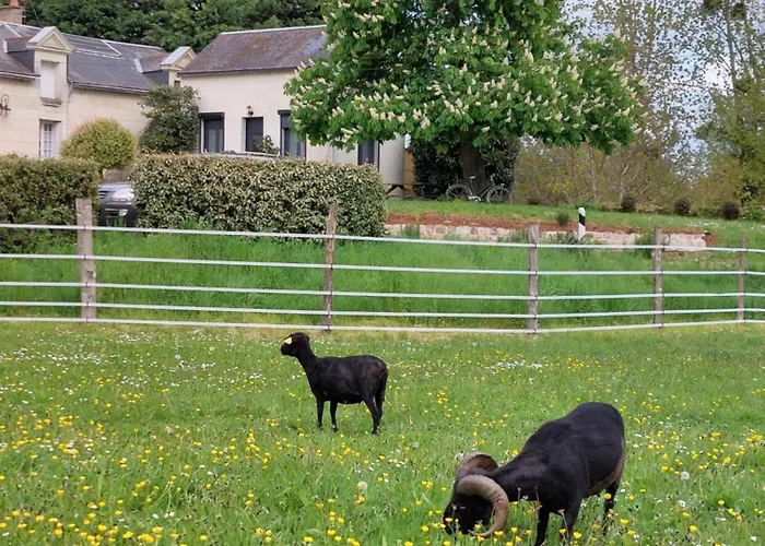 D'hotes De L'ile Du Saule 3*