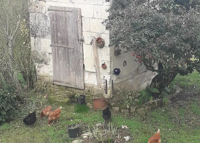 D'hotes De L'ile Du Saule 3* Saumur