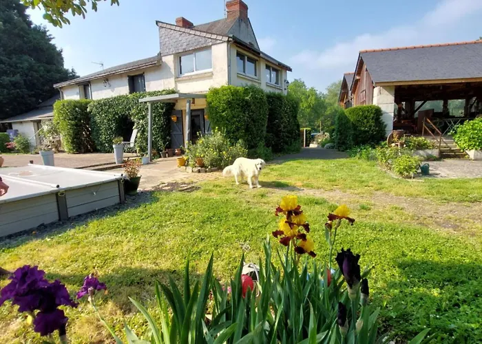 Gasthuis D'hotes De L'ile Du Saule Saumur