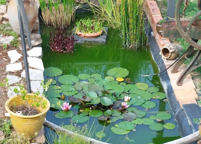 D'hotes De L'ile Du Saule Saumur