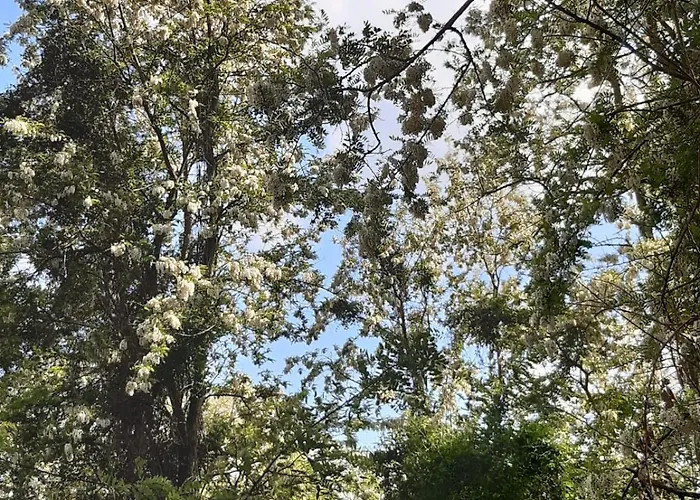 D'hotes De L'ile Du Saule Saumur