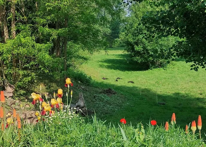 Gasthuis D'hotes De L'ile Du Saule