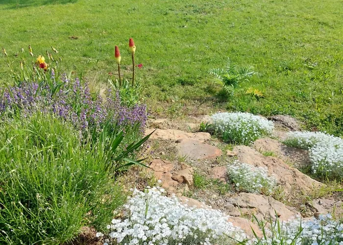 Guest house D'hotes De L'ile Du Saule 3*