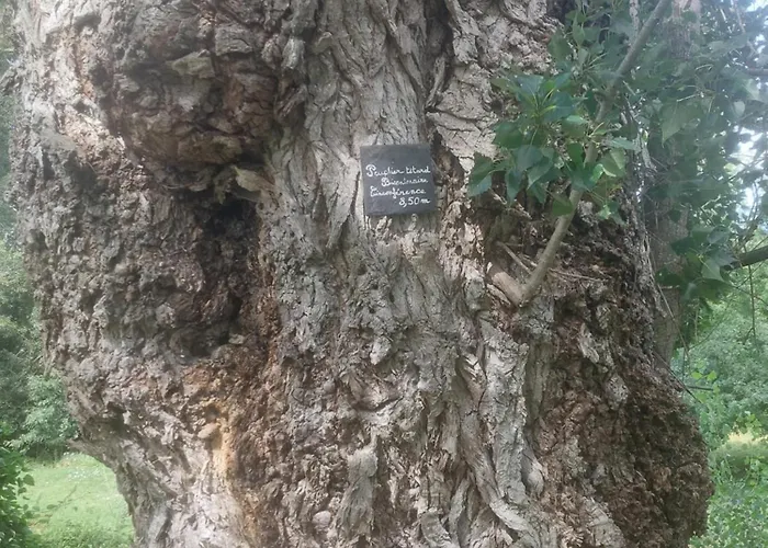 D'hotes De L'ile Du Saule Pensionat