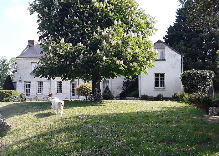 Guest house D'hotes De L'ile Du Saule 3*