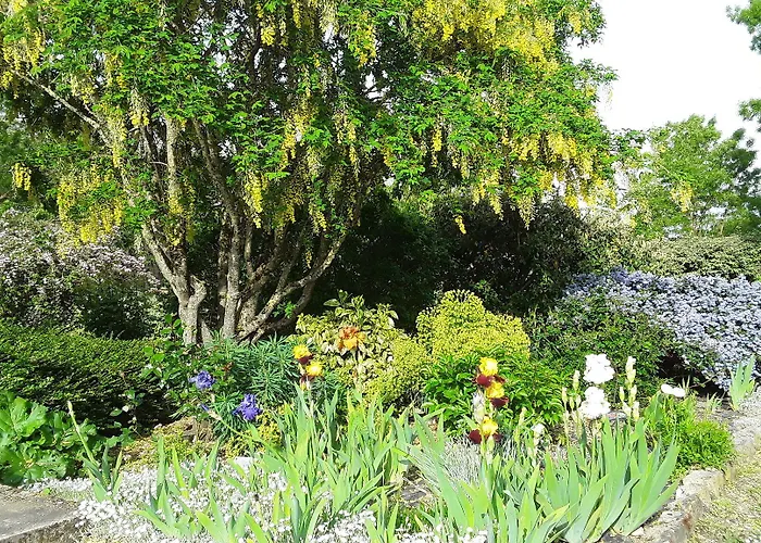 D'hotes De L'ile Du Saule 3*