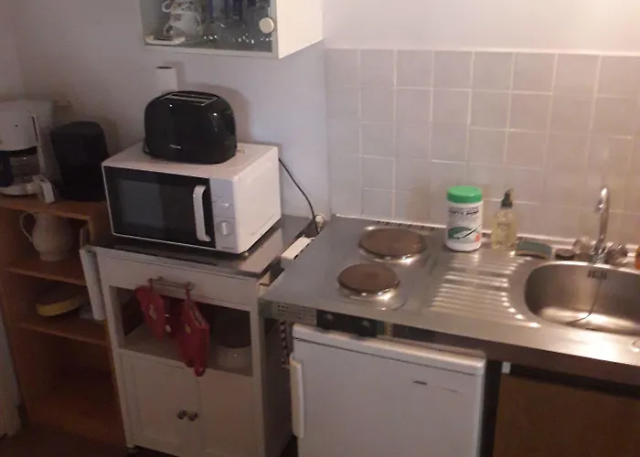 D'hotes De L'ile Du Saule Pensionat 3*