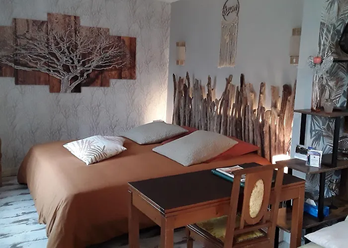 D'hotes De L'ile Du Saule Guest house Saumur