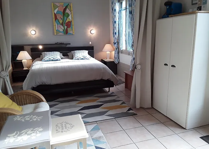 D'hotes De L'ile Du Saule Pensionat Saumur