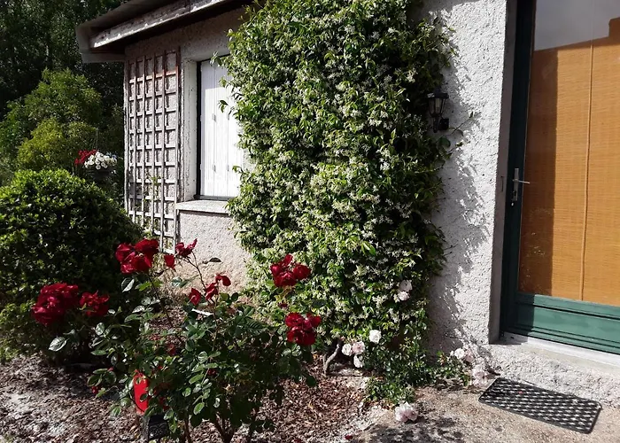 D'hotes De L'ile Du Saule Guest house